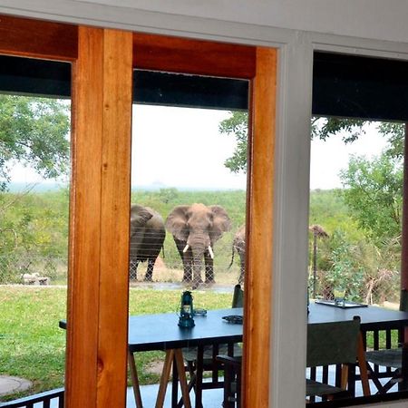 Tingala Lodge - Bed In The Bush 帕拉博鲁瓦 外观 照片