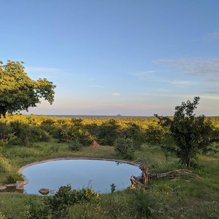 Tingala Lodge - Bed In The Bush 帕拉博鲁瓦 外观 照片