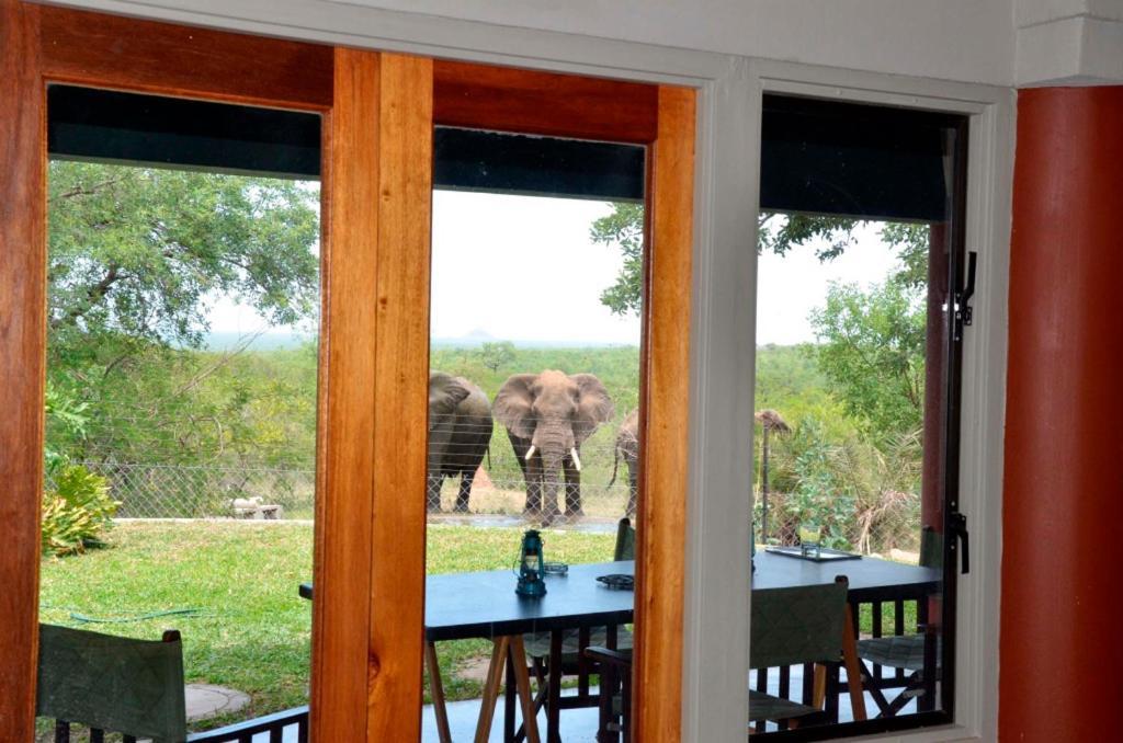 Tingala Lodge - Bed In The Bush 帕拉博鲁瓦 外观 照片