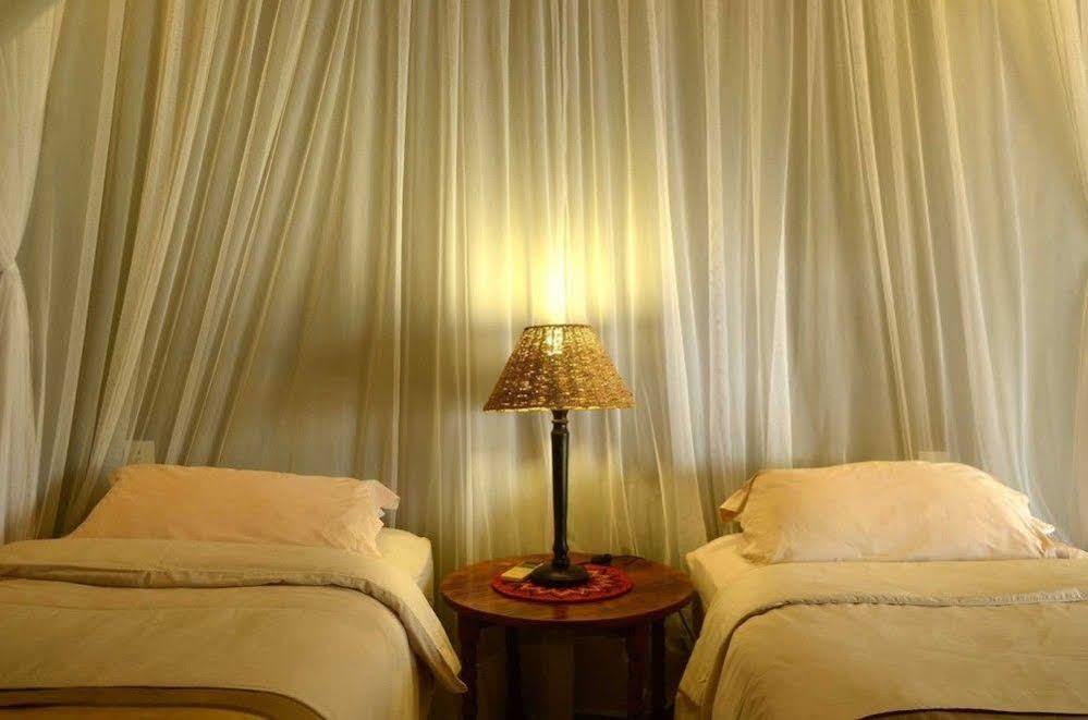 Tingala Lodge - Bed In The Bush 帕拉博鲁瓦 外观 照片