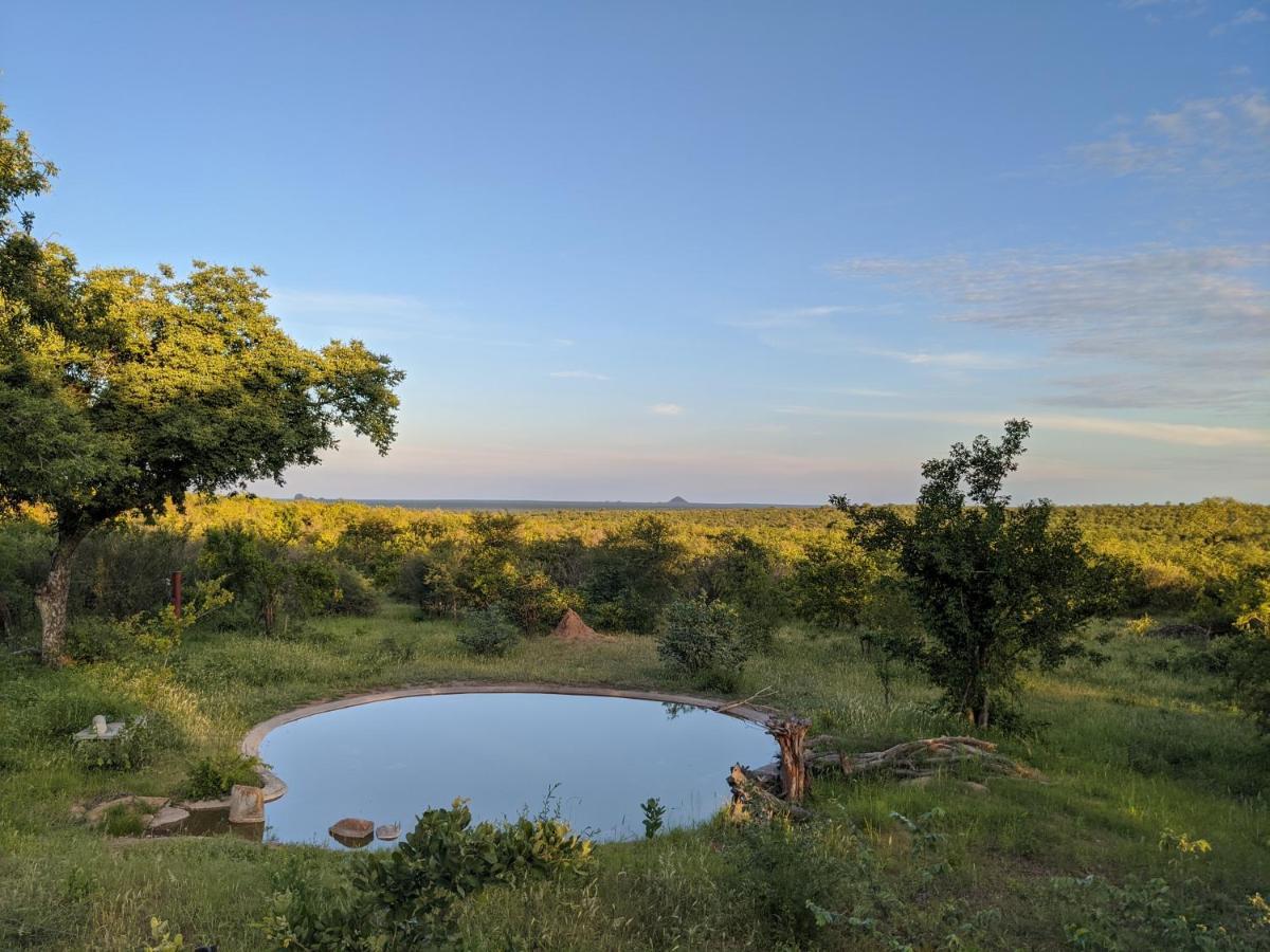 Tingala Lodge - Bed In The Bush 帕拉博鲁瓦 外观 照片