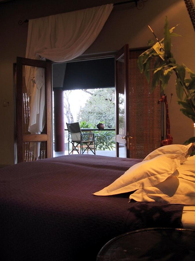 Tingala Lodge - Bed In The Bush 帕拉博鲁瓦 外观 照片
