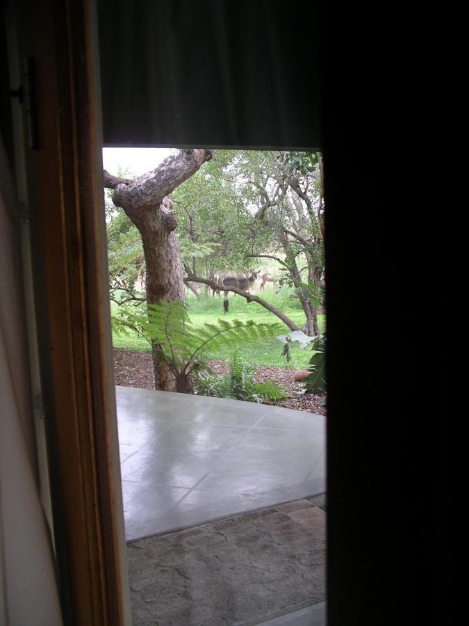 Tingala Lodge - Bed In The Bush 帕拉博鲁瓦 外观 照片